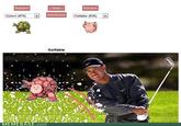 Pokefusion / Pokemon Fusion