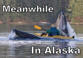 Meanwhile in X