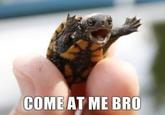 COME AT ME BRO
