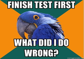Paranoid Parrot