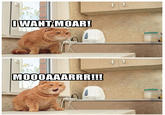 MOAR