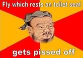 Wise Confucius