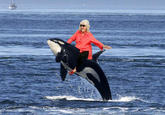 Paula Deen Riding Things