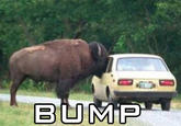 Bump