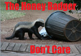 Honey Badger