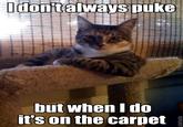 The Most Interesting Cat in the World