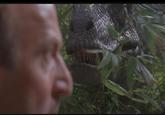 Clever Girl