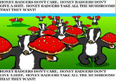 Honey Badger