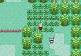 Fake Pokémon Battles