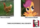 Pony Re-Imaginings
