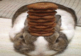 Pancake Bunny