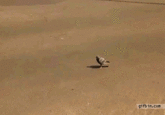 And Not a Single Fuck Was Given That Day