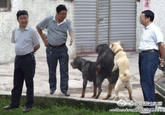 Floating Chinese Government Officials