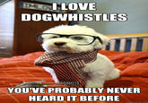 Hipster Glasses