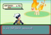 A Wild X Appears! / Wild X Appeared!