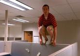 Owling