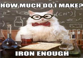 Chemistry Cat