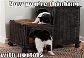 Thinking With Portals