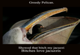 Uncle Ray/Pedo Pelican/Greedy Heron