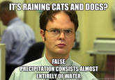 Schrute Facts