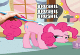 Brushie Brushie Brushie