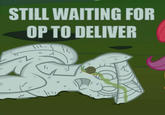 Waiting for OP/OP Will Surely Deliver