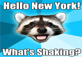 Lame Pun Coon