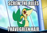 Smugleaf / Snivy