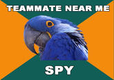 Paranoid Parrot