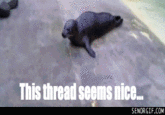 Abandon Thread