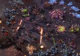 Starcraft