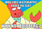 Futurama Zoidberg / Why Not Zoidberg?