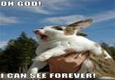Oh God! I Can See Forever!