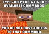 Minecraft Guy