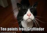 10 Points from/for Gryffindor