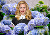 Madonna Loathes Hydrangea