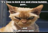 I'm Here To Kick Ass And Chew Bubblegum