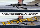 Nope! Chuck Testa