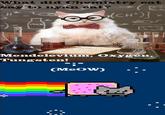 meow.jpg