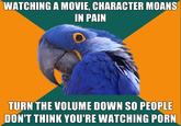 Paranoid Parrot