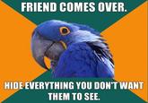 Paranoid Parrot