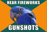 Paranoid Parrot
