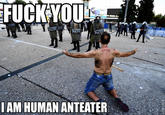 I'm an Anteater!!!