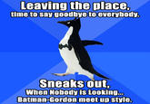 Socially Awkward Penguin