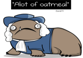 The Alot