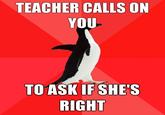 Socially Awesome Penguin