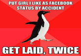 Socially Awesome Penguin