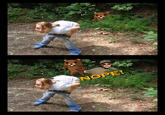 Nope! Chuck Testa
