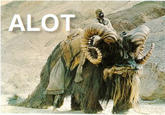 The Alot