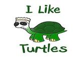 I Like Turtles